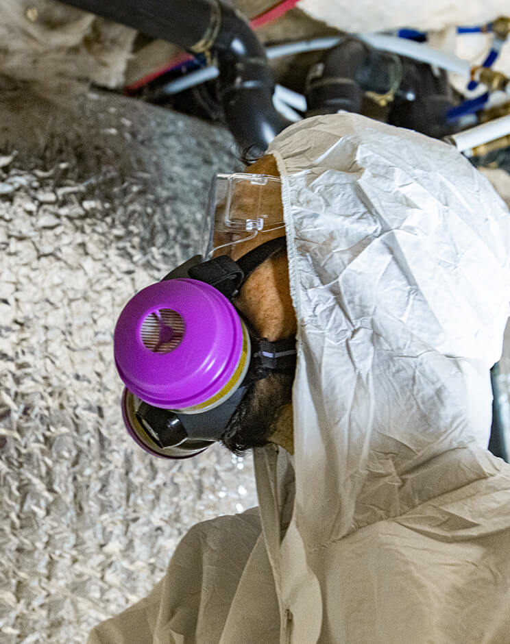 ¿Por qué elegir Desacomplet para quitar amianto?