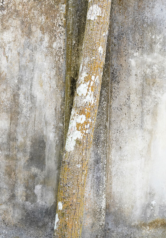 Factores que influyen en el precio de retirada de amianto