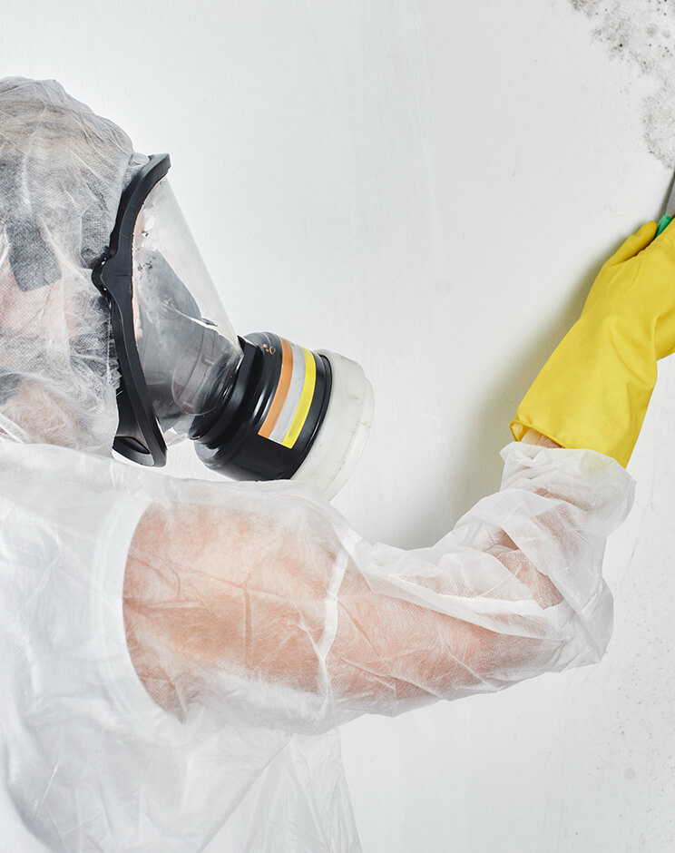 ¿Por qué elegir Desacomplet para la retirada de amianto?