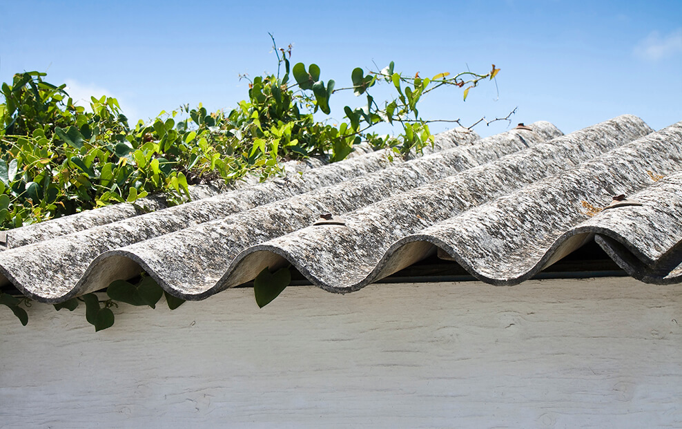 Cubiertas de viviendas